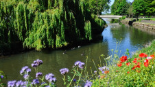 Councils are required to develop and deliver the projects in collaboration with a diverse range of stakeholders
